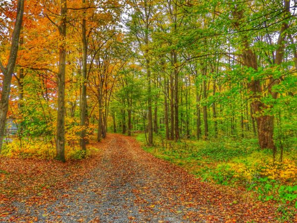 canada-colori-autunno