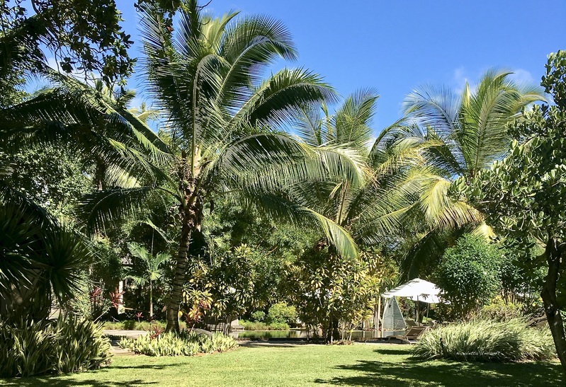 Tropical garden Trou aux Biches