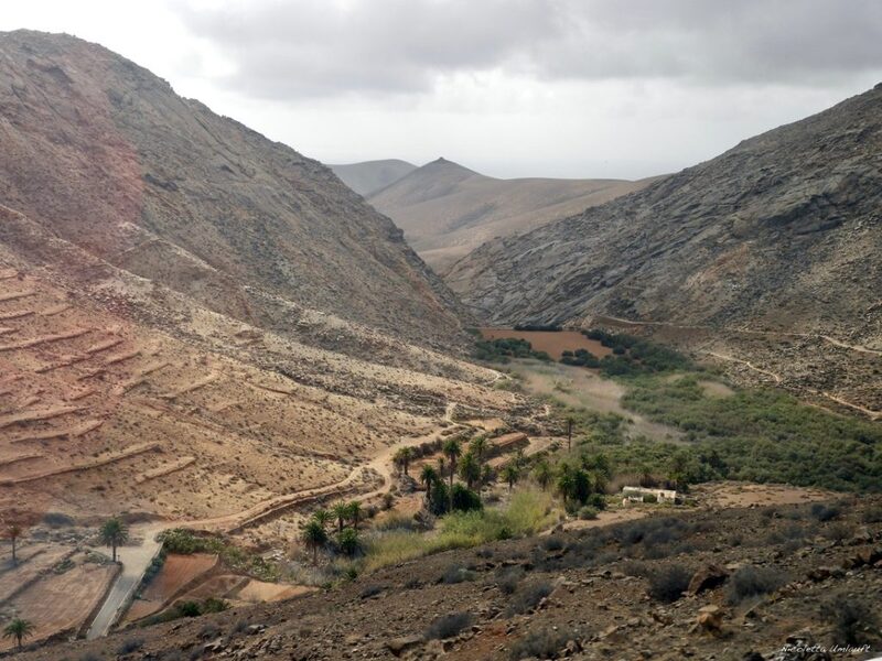 Las Penitas viewpoint