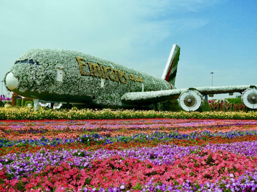 Emirates A380 at the Miracle Garden