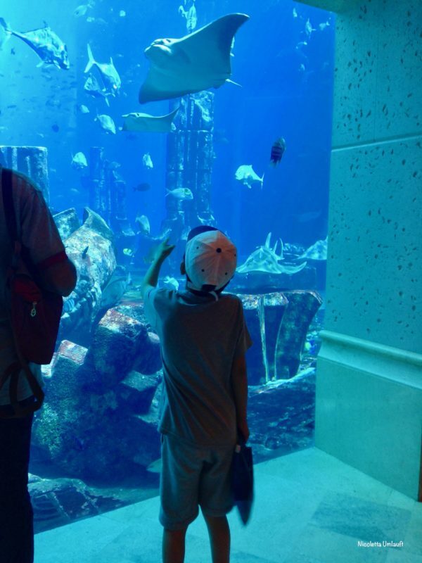 Lost Chambers Aquarium Dubai