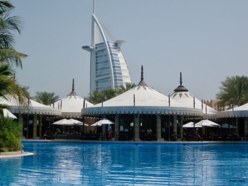 Al Qsar the pool surrounded by greenery