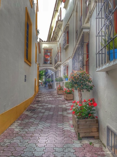Characteristic street in Marbella