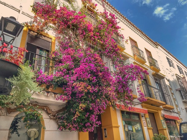 Marbella old town