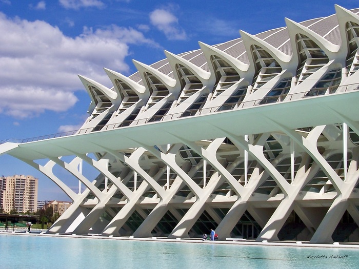 Museo della scienza - Valencia