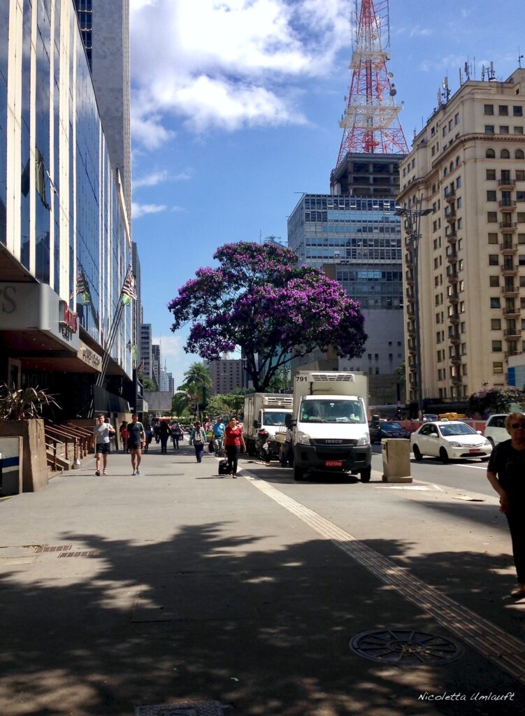 Avenida Paulistas