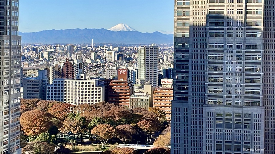 Vista dalla nostra stanza Keio Plaza Hotel