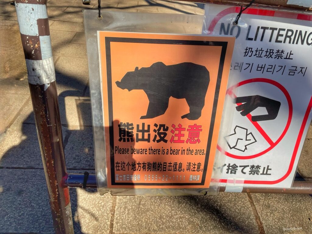 Attenti all'orso