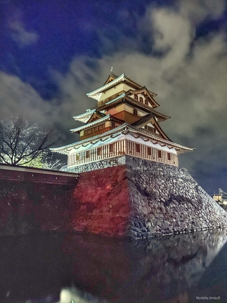 Castello di Takashima