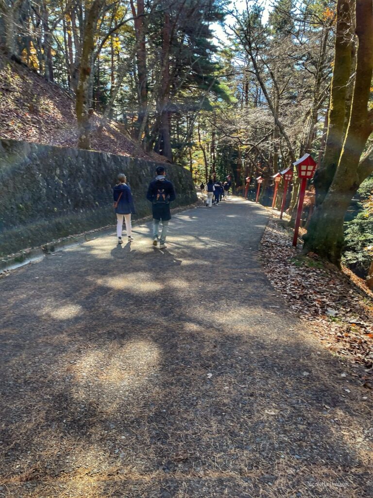 Sentiero per la Pagoda di Chureito