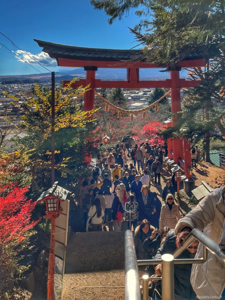 Torii entrata Santuario Arakurayama Sengen