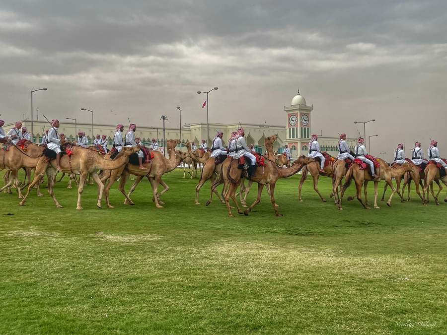 Dromadaries of the palace guards