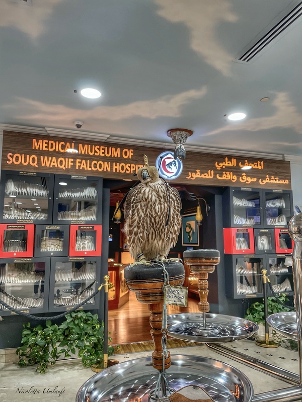 Falcon
